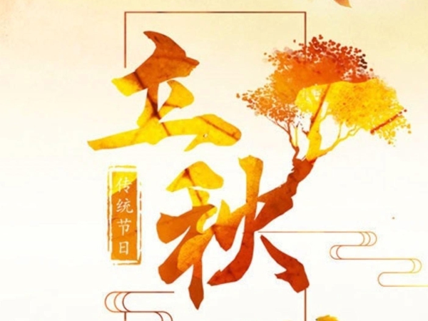 嘉善立秋后，沥青道路养护迎来“关键换季”！杭州宏壹市政道路公司为您解析